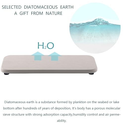 2Pcs Stone Soap Trays Water Absorbing Diatomite Coaster (2 Count)