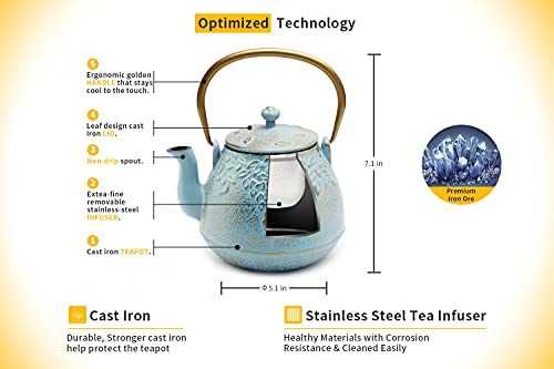 Japanese Cast Iron Tea Kettle with Stainless Steel Infuser
