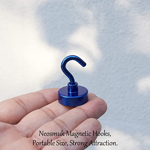 Magnetic Hooks (10 Count)
