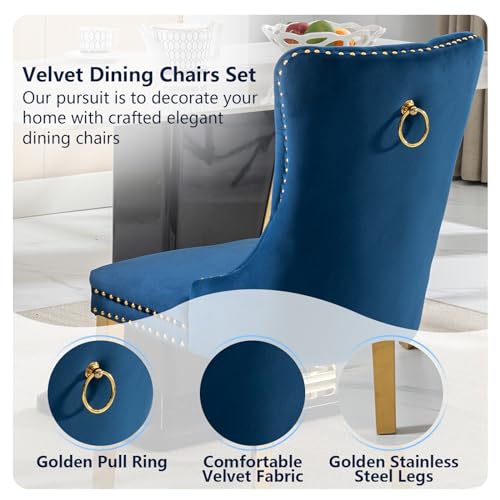 Blue Velvet Dining Chairs Set of 4 (4 Count)