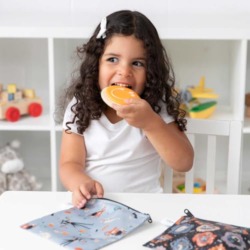 Disney Reusable Sandwich and Snack Bags