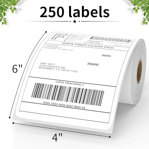 4"X6" Thermal Shipping Labels (250 Count)