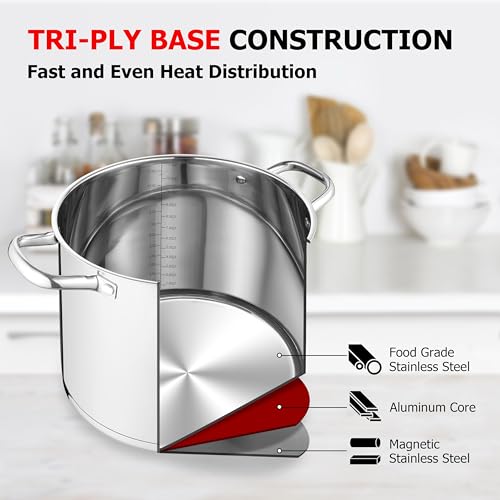 12 QT Stock Pot with Lid