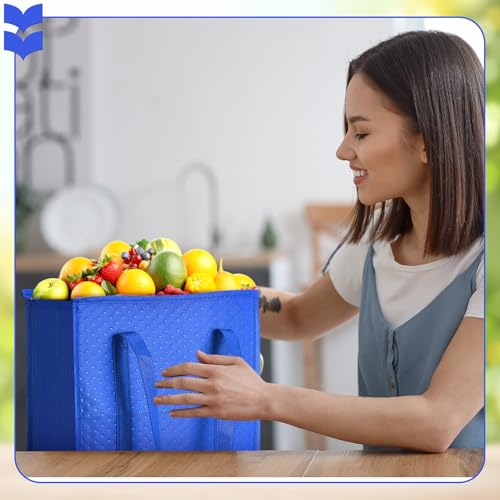 4 Pcs Insulated Grocery Bags Reusable (4 Count)