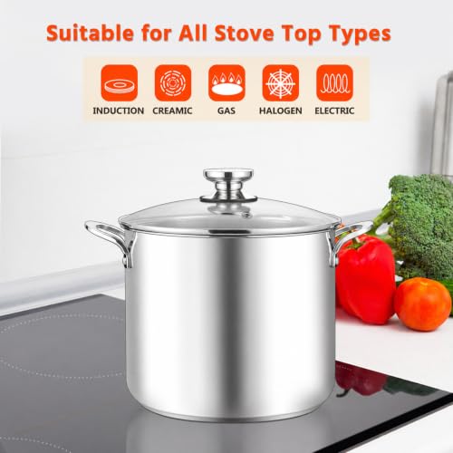 12 Quart Stock Pot