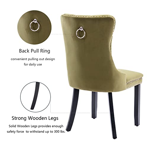 Olive Green Velvet Dining Chairs Set of 4 (4 Count)