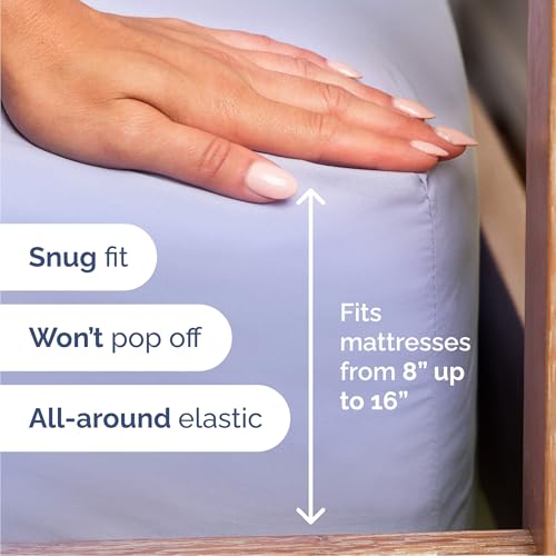 Queen Size 4 Piece Sheet Set