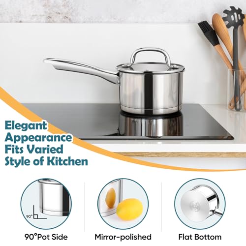 1 Qt Saucepan with Lid