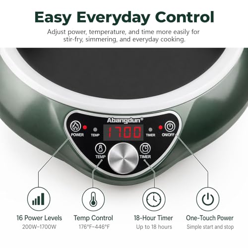 1700W Concave Induction Wok Burner