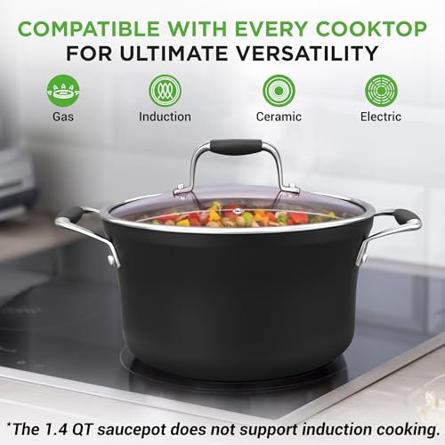14-Piece Non-Stick Pots and Pans Set - Induction Ready Multi-Sized Cooking Pots with Lids, Small and Medium Frying Pans with Slotted Spatula, Pasta Server, Soup Ladle, Silicone Handles