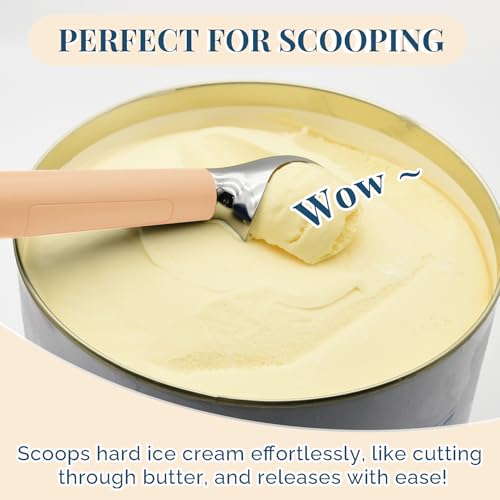 Heated Ice Cream Scoop Rechargeable
