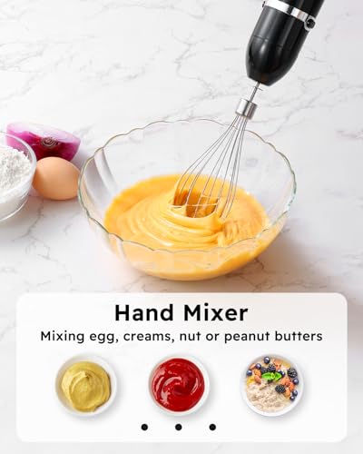 Immersion Blender Handheld