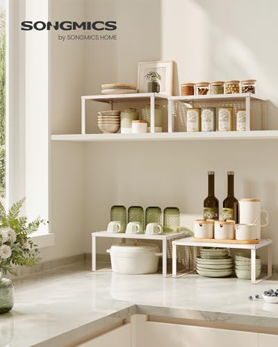 Set of 4 Metal Spice Racks (4 Count)