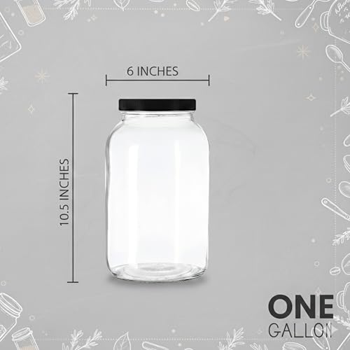 1 Gallon Glass Jar with Lid