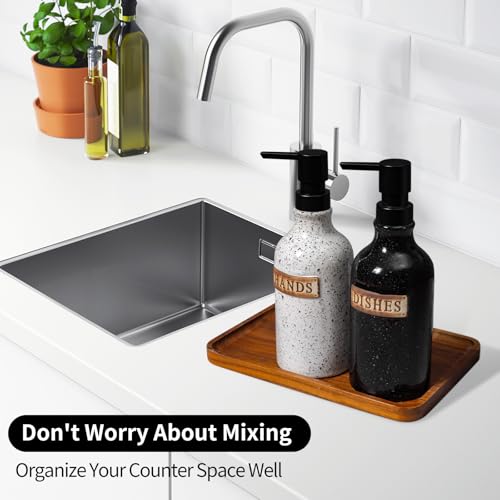 Hand and Dish Dispenser for Kitchen Sink (2 Count)