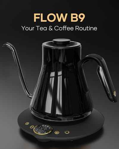 Gooseneck Electric Kettle