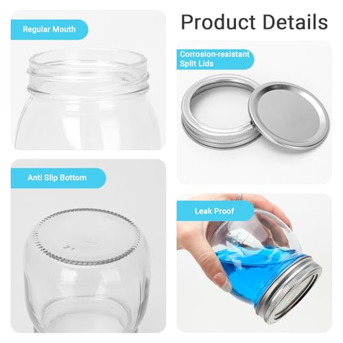 24 Pack 10 oz Clear Glass Mason Jars with Silver Metal Split Lids (24 Count)