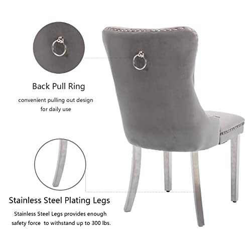Grey Velvet Dining Chairs Set of 2 (2 Count)
