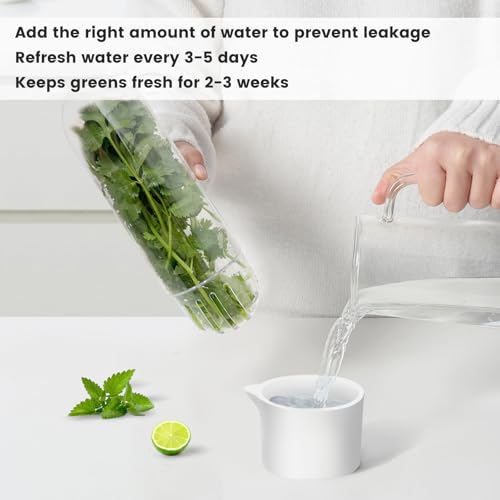 Herb Keeper for Refrigerator