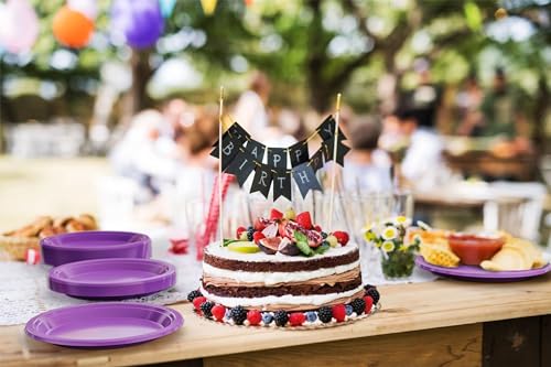 Sturdy Purple Plastic Plates 10" Party Plates 100 Pcs (100 Count)