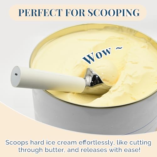 Heated Ice Cream Scoop Rechargeable