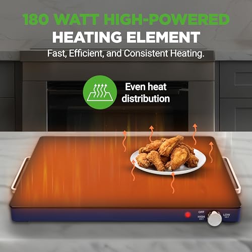 Electric Warming Tray