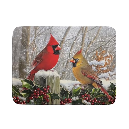 Winter Birds Dish Drying Mat Red Berry Dish Drainer Rack Mat Microfiber Absorbent Dish Drying Pad for Kitchen Counter Coffee Bar 18x24 Inch