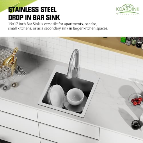 Kitchen And Bar Sink