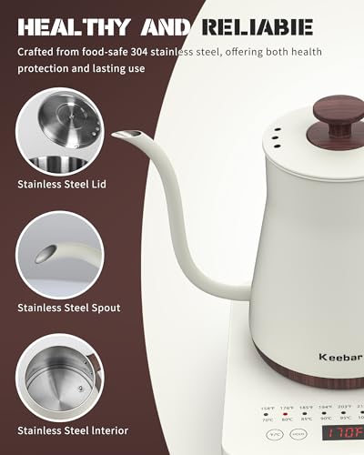 Gooseneck Electric Kettle
