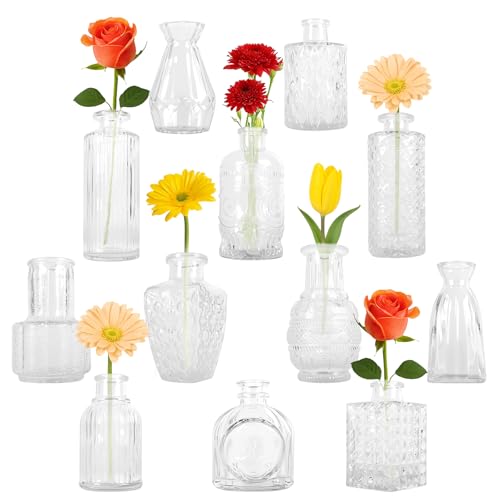 Glass Bud Vase Set of 12 Pcs (12 Count)