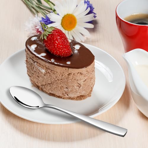 Stainless Steel Tea Spoons (12 Count)