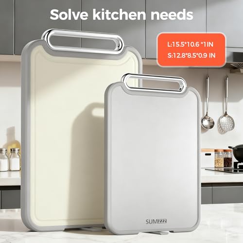 Stainless Steel Cutting Board for Kitchen (2 Count)