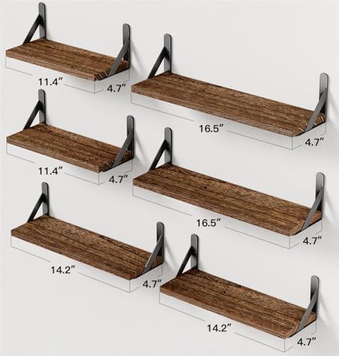 Amada Solid Paulownia Wood Wall Shelves (6 Count)