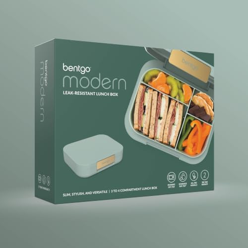 Modern Adult Bento Lunch Box with 3