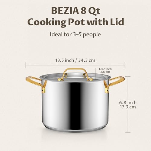 8 QT Stainless Steel Stock Pot with Lid
