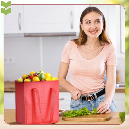 4 Pcs Insulated Grocery Bags Reusable (4 Count)