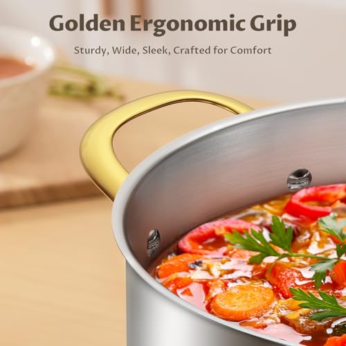 12 QT Stainless Steel Stock Pot