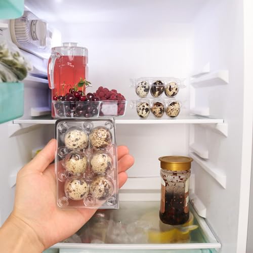 300 Pack Quail Egg Cartons (300 Count)