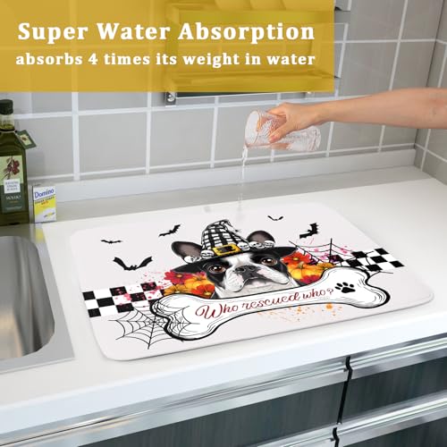 Dish Drying Mat for Kitchen Counter
