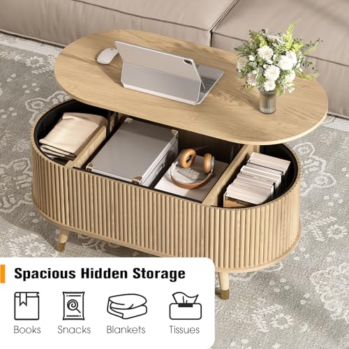 Oval Lift Top Coffee Table with Storage for Living Room