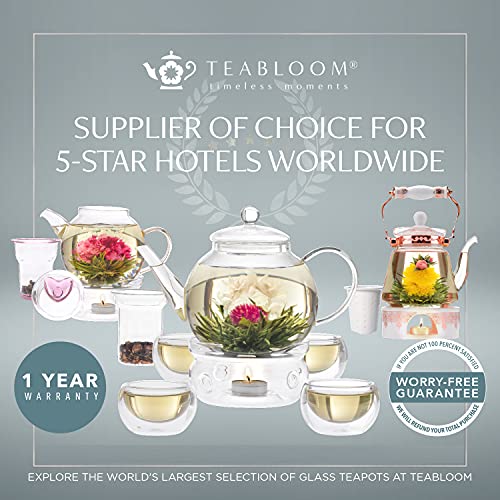 Kyoto 2-in-1 Tea Kettle/Tea Maker – Heatproof Glass Teapot with Removable Loose Tea Filter – Tea Connoisseur's Choice