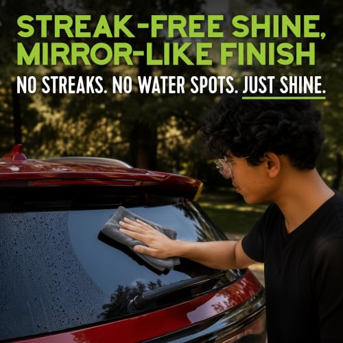 Car Wash Soap (16 Fl Oz)