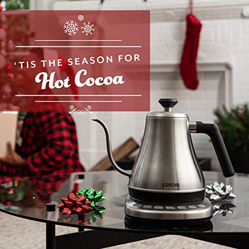 Gooseneck Electric Kettle with Temperature Control