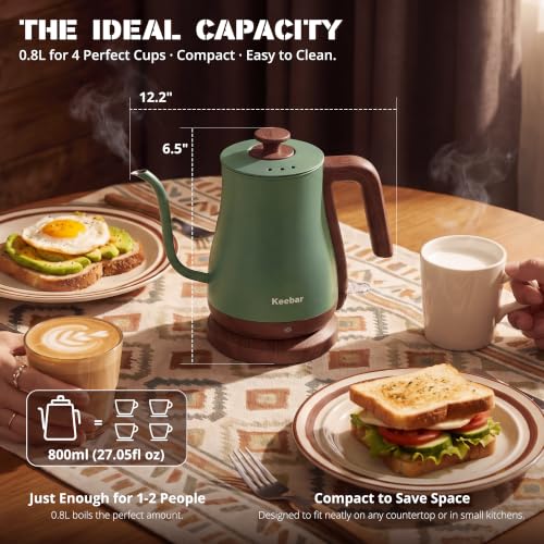Gooseneck Electric Kettle