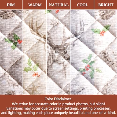 Maison d'Hermine Oven Gloves 100% Cotton Oven Mitt