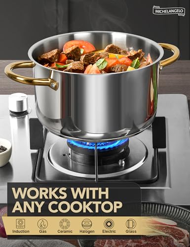 Stainless Steel Pots