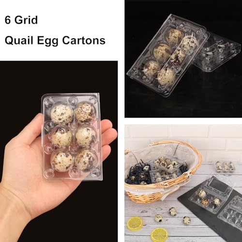 300 Pack Quail Egg Cartons (300 Count)