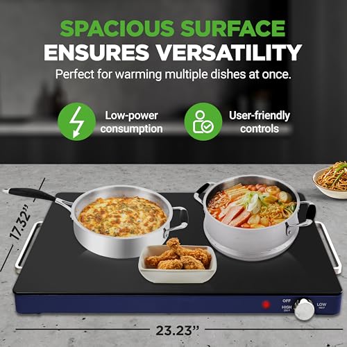 Electric Warming Tray