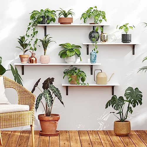 Long Wall Shelves (2 Count)