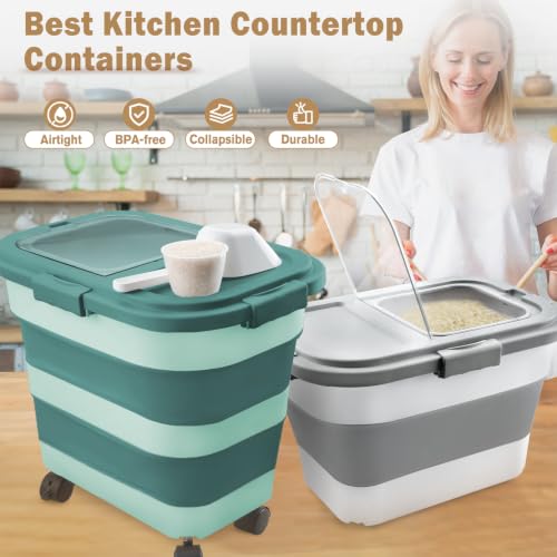 Rice Storage Container10